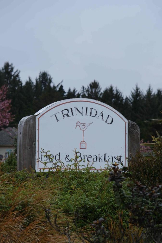 Trinidad Bay Bed And Breakfast Hotel Luaran gambar